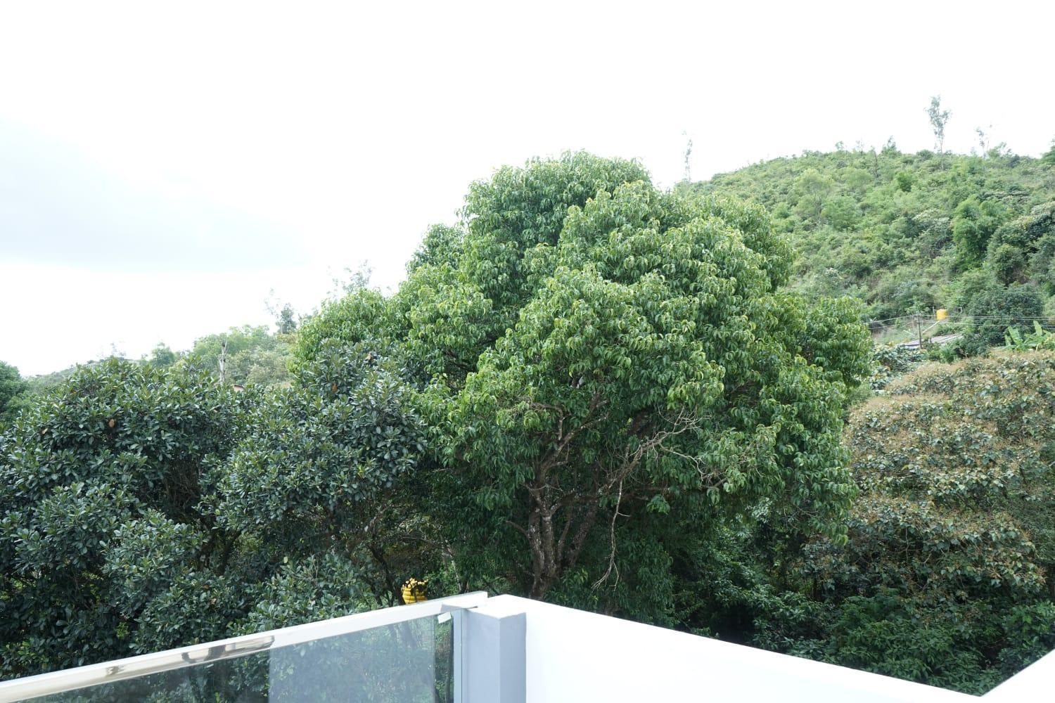 Coorg Prince Home Stay Madikeri Exterior photo