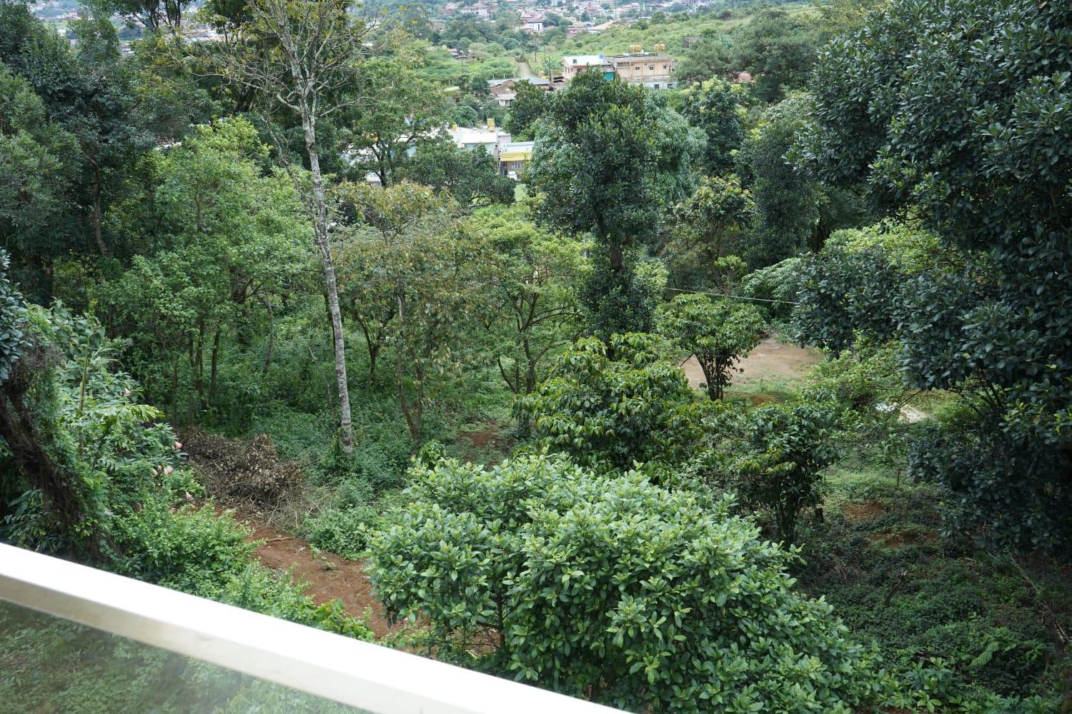 Coorg Prince Home Stay Madikeri Exterior photo